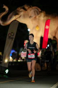 BIB: 
                            <button type="button" onclick="openModal(26530451)" class="btn btn-primary btn-sm float-right btn-popup" data-toggle="modal" data-target=".modal-high-quality">
                        <i class="fas fa-shopping-cart"></i> Add to Cart
                    </button>
                                            <button type="button" onclick="isThisMe(26530451, true)" class="btn btn-success btn-sm float-right btn-popup btn-isme hidden" data-toggle="tooltip" data-placement="bottom" title="นี่คือรูปของคุณใช่ไหม คลิกที่นี่เพื่อเอาเข้าอัลบั้ม">
                        <i class="fas fa-plus"></i> Add to album
                    </button>
                    <button type="button" onclick="isThisMe(26530451, false)" class="btn btn-warning btn-sm float-right btn-popup btn-isnotme hidden">
                        <i class="fas fa-ban"></i> Remove from album
                    </button>